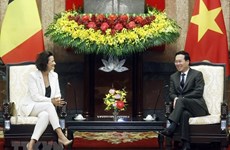 Вьетнам заинтересован в дальнейшем развитии связей с Бельгией