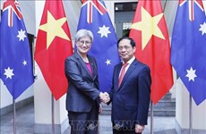 В Ханое состоялась пятая встреча министров иностранных дел Вьетнама и Австралии
