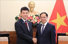 Глава МИД Вьетнама принял председателя Конституционно-демократической партии Японии