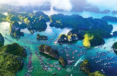 Залив Халонг и архипелаг Катба признаны ЮНЕСКО всемирным природным наследием