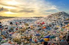 К глобальному соглашению по борьбе с пластиковым загрязнением