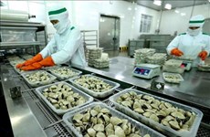 Продвижение экспорта вьетнамских моллюсков на зарубежные рынки