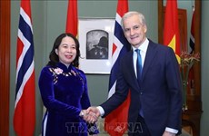 Совместный пресс-релиз о переговорах лидеров Вьетнама и Норвегии