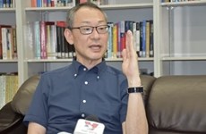 Японский ученый: Светлые перспективы вьетнамско-японских отношений