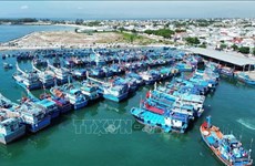 Усиление проверок эксплуатационной деятельности в рыболовных портах
