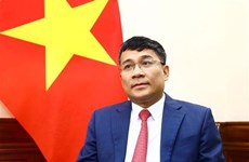 Заместитель министра иностранных дел: Визит китайского лидера во Вьетнам направлен на углубление двусторонних отношений