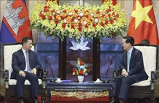 Президент Вьетнама принял премьер-министра Камбоджи