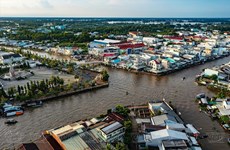 Плавучий рынок Нганам: Обязательное место для посещения в дельте Меконга