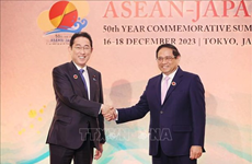 Премьер-министр Вьетнама встретился с лидерами стран на полях саммита АСЕАН-Япония