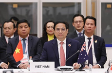 Вьетнам предлагает области сотрудничества, которые помогут достичь нулевого уровня выбросов в Азии