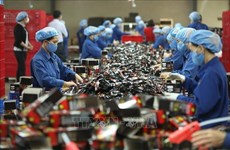 Средний доход вьетнамских рабочих в 2023 году вырос на 6,9%