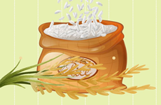 Экспорт риса вырос до рекордного уровня в 8,3 млн.тонн.