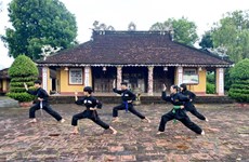 Земля боевых искусств Тэйшон Тхыонгдао