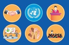 Отпечатки Вьетнама в первый год его  членства в Совете ООН по правам человека  на срок полномочий 2023-2025 гг.