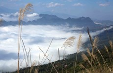 Идеальное место, где можно понаблюдать облаками в северной горной провинции Лайчау