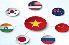  7 стран имеют всеобъемлющее стратегическое партнерство с Вьетнамом
