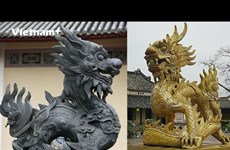 Ответ экспертов на часто задаваемые вопросы о вьетнамском драконе