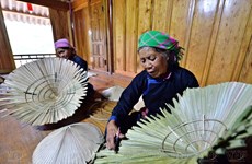 Сохранение уникального ремесла изготовления конических шляп из пальмовых листьев