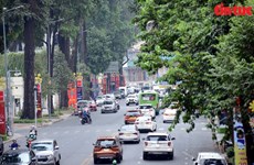 Хошимин: улицы, засаженные зелеными деревьями, позволяют легче переносить жару