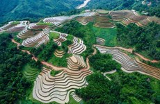 Хажанг: Террасные поля в сезон полива