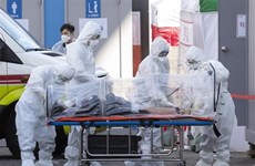 ВОЗ объявила пандемию коронавирусной инфекции