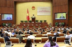 Открылась конференция штатных депутатов Национального Собрания