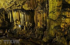 Пещера Ван Чинь - одна из самых больших и красивых пещер в провинции Ниньбинь