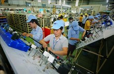 Прогнозируется, что объем прямых иностранных инвестиций во Вьетнам останется высоким в течение 2024 года