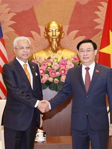 50 лет вьетнамско-малайзийским отношениям: стратегическое партнерство эффективно развивается 