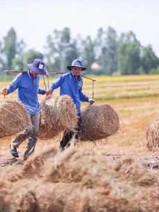 Продвижение замкнутого сельского хозяйства во Вьетнаме