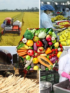 EVFTA -  Возможности прорваться на европейский рынок для вьетнамскойсельскохозяйственной продукции