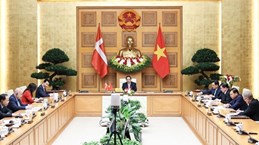 Посол Дании: Зеленое стратегическое партнерство открывает путь к «зеленому» сотрудничеству Вьетнама и Дании