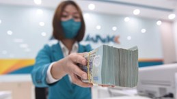 Вьетнам решает финансовую задачу по сокращению выбросов до нуля