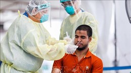 Сингапур приступит к клиническим испытаниям лекарства от коронавируса