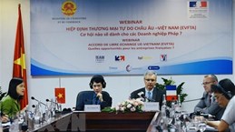 Вебинар ищет способы для компаний Вьетнама и Франции заработать на EVFTA