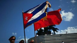 Опубликован план реализации торгового соглашения между Вьетнамом и Кубой