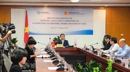 Вьетнам и Япония развивают сотрудничество в промышленности, торговле и энергетике