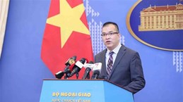 Официальный представитель МИД: Вьетнам внимательно следит за развитием событий в Восточном море