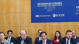 Министр иностранных дел Буй Тхань Шон подчеркнул решимость в отношении зеленого перехода на конференции Совета министров ОЭСР