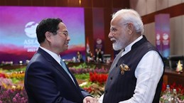 Премьер-министр Фам Минь Тинь провел встречу с премьер-министром Индии Нарендрой Моди