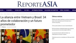 Многообещающее будущее вьетнамско-бразильского сотрудничества