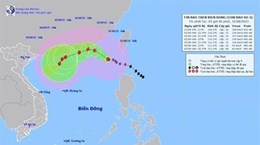 Тайфун Саола вызвал сильный ветер на море