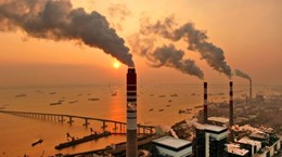 Вьетнам делает шаги к рынку углеродных кредитов