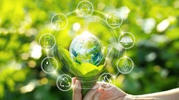 Трансформация зеленого производства к устойчивой ценности
