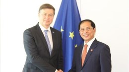 Министр иностранных дел Вьетнама встретился в Париже с представителями Бразилии, Франции, ЕС и Канады