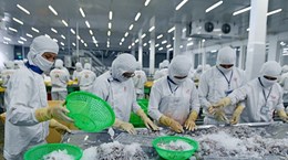 Вьетнам является вторым по величине поставщиком креветок в мире