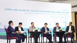 Вьетнам стремится ускорить энергетический переход