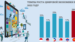 Цифровая экономика Вьетнама достигла самого быстрого роста в Юго-Восточной Азии
