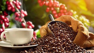 Экспорт вьетнамского кофе надеется заработать более 4 млрд. долл. США в этом году