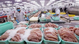 Вьетнам вряд ли сможет совершить прорыв в экспорте морепродуктов в краткосрочной перспективе